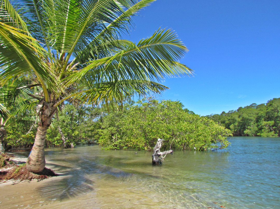 Mangue Riders-莫罗圣保罗必去景点