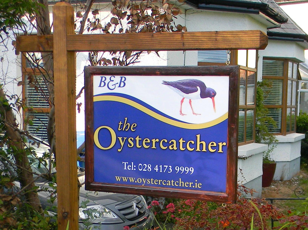 Rostrevor酒店住宿-The Oystercatcher