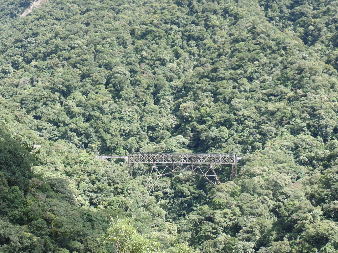 Ponte São João景点图片