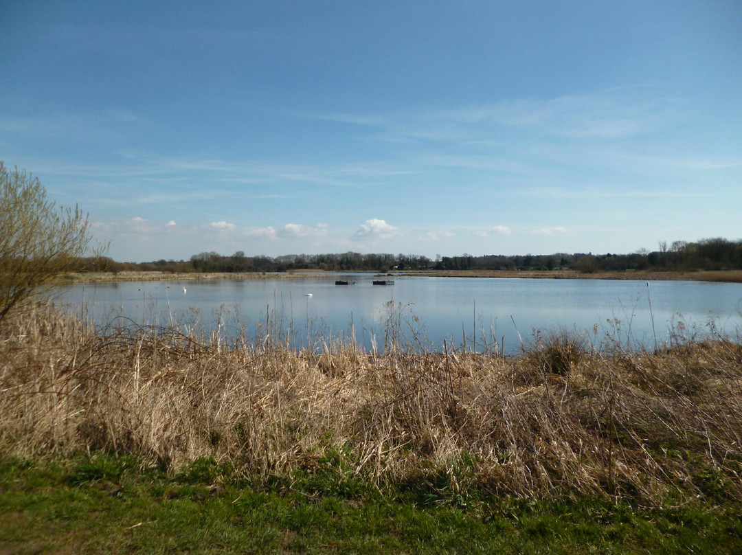 Staveley Nature Reserve景点图片