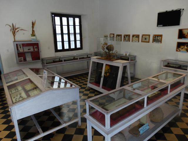 Museo Provincial de Ciencias Naturales y Antropologicas景点图片