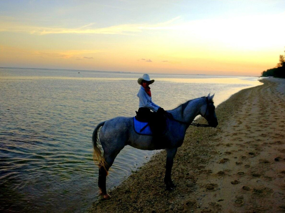 HORSE RIDING RIAMBEL- Centre Equestre De Riambel-Riambel必去景点