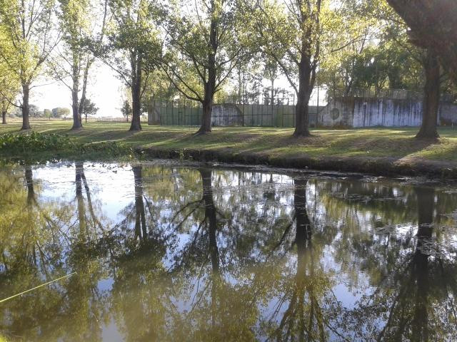 Camping de Capitan Sarmiento