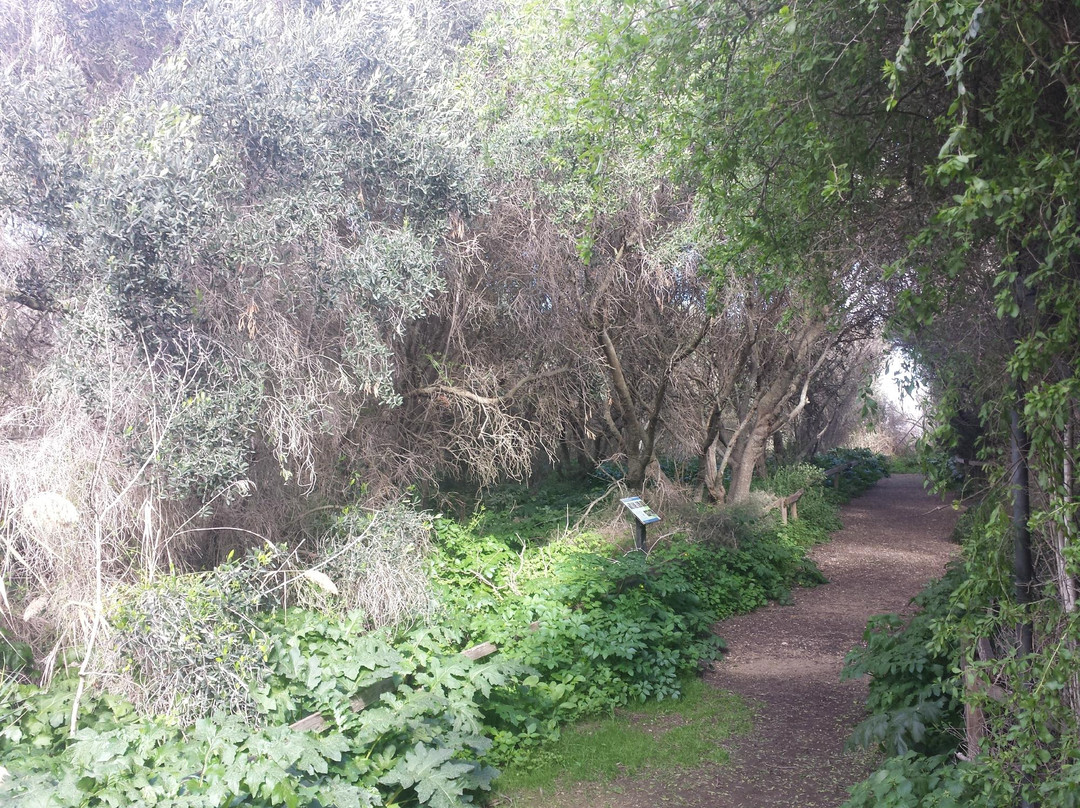 Simar Nature Reserve-Xemxija必去景点