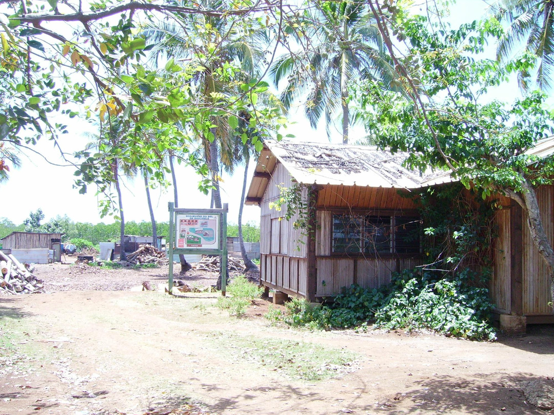 Ecomusee Du Sel De Bandrele-Bandrelé必去景点