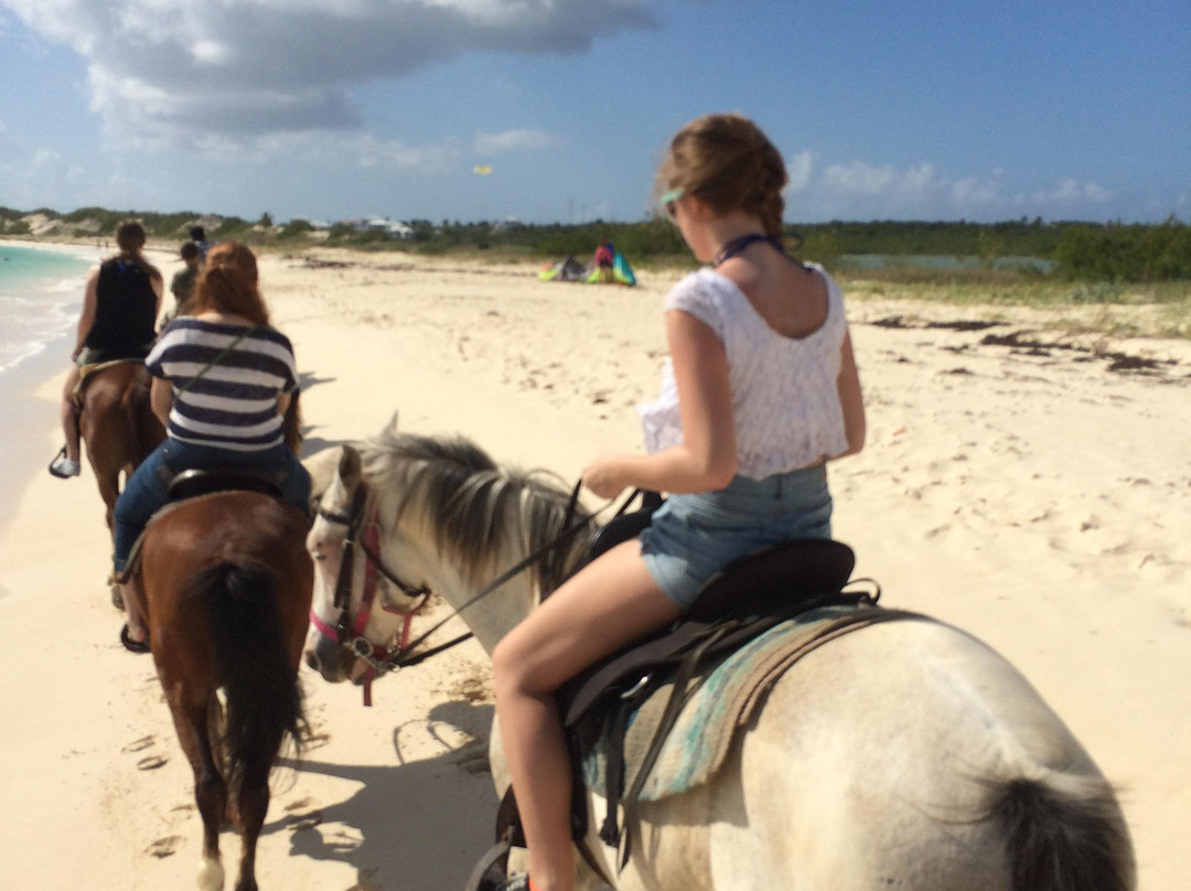 Seaside Stables Anguilla-West End Village必去景点
