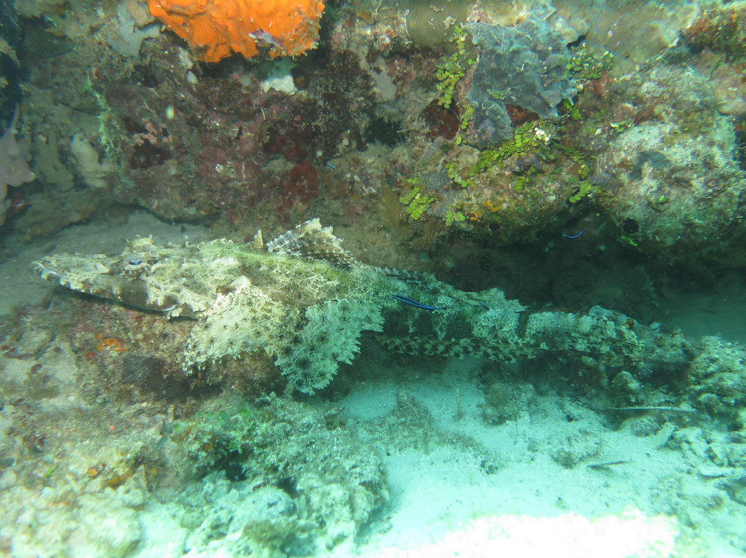 Selayar Island Resort主图