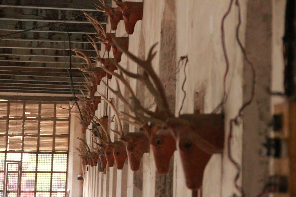 Badshai Bungalow-海德拉巴必去景点