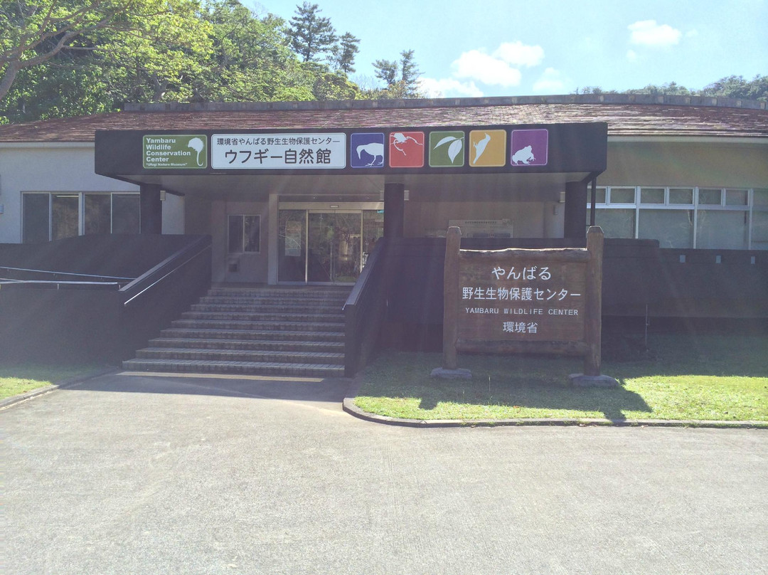 Yambaru Wildlife Center Ufugi Nature Museum景点图片