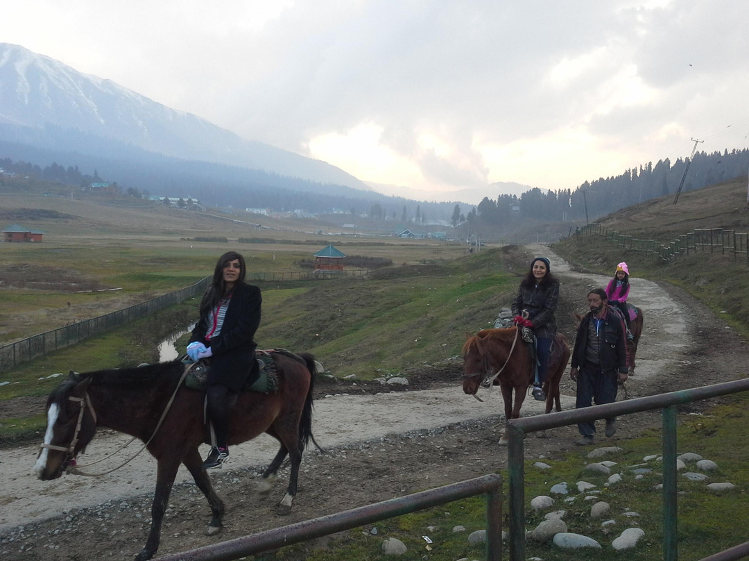 Children's Park-贡马必去景点