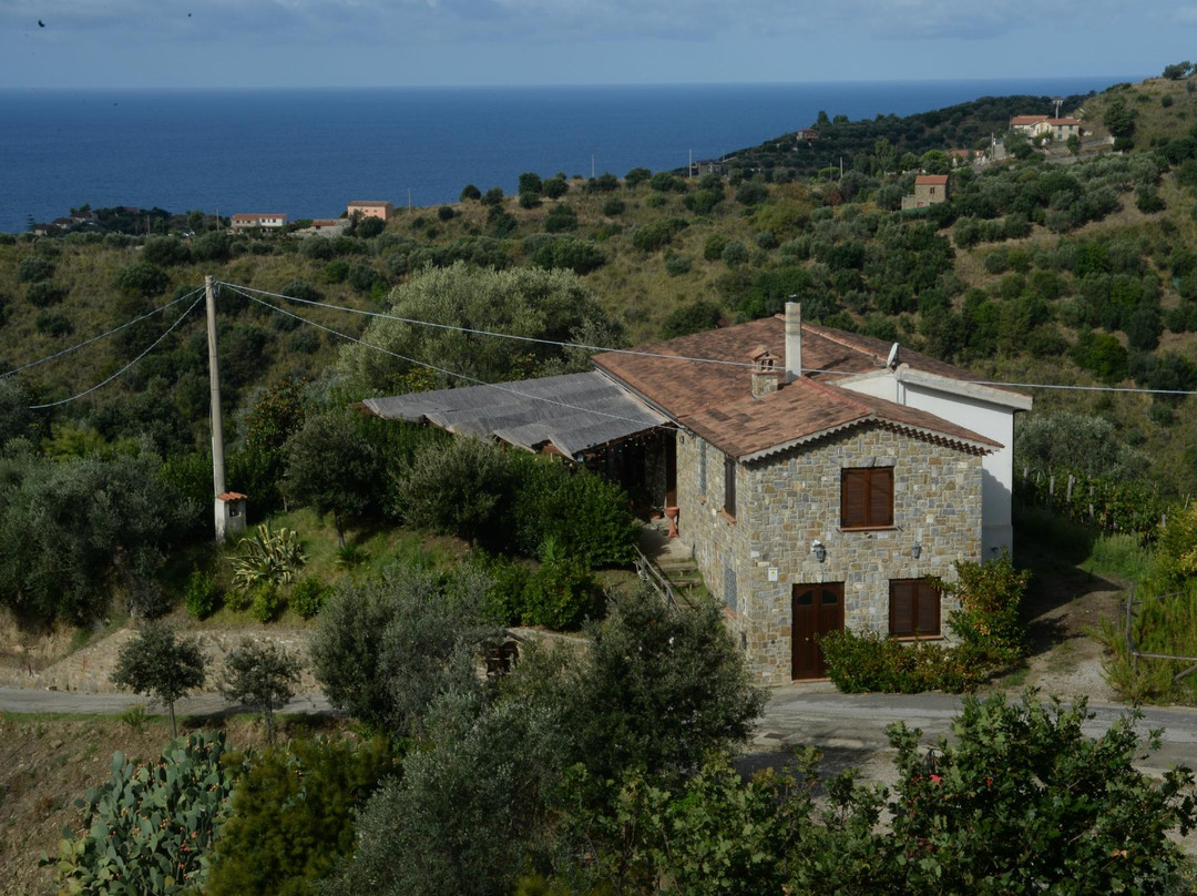 Agriturismo Capalia