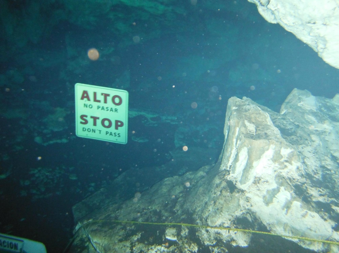 Atkun-Chen Indiana Joe's-Alfredo V. Bonfil必去景点