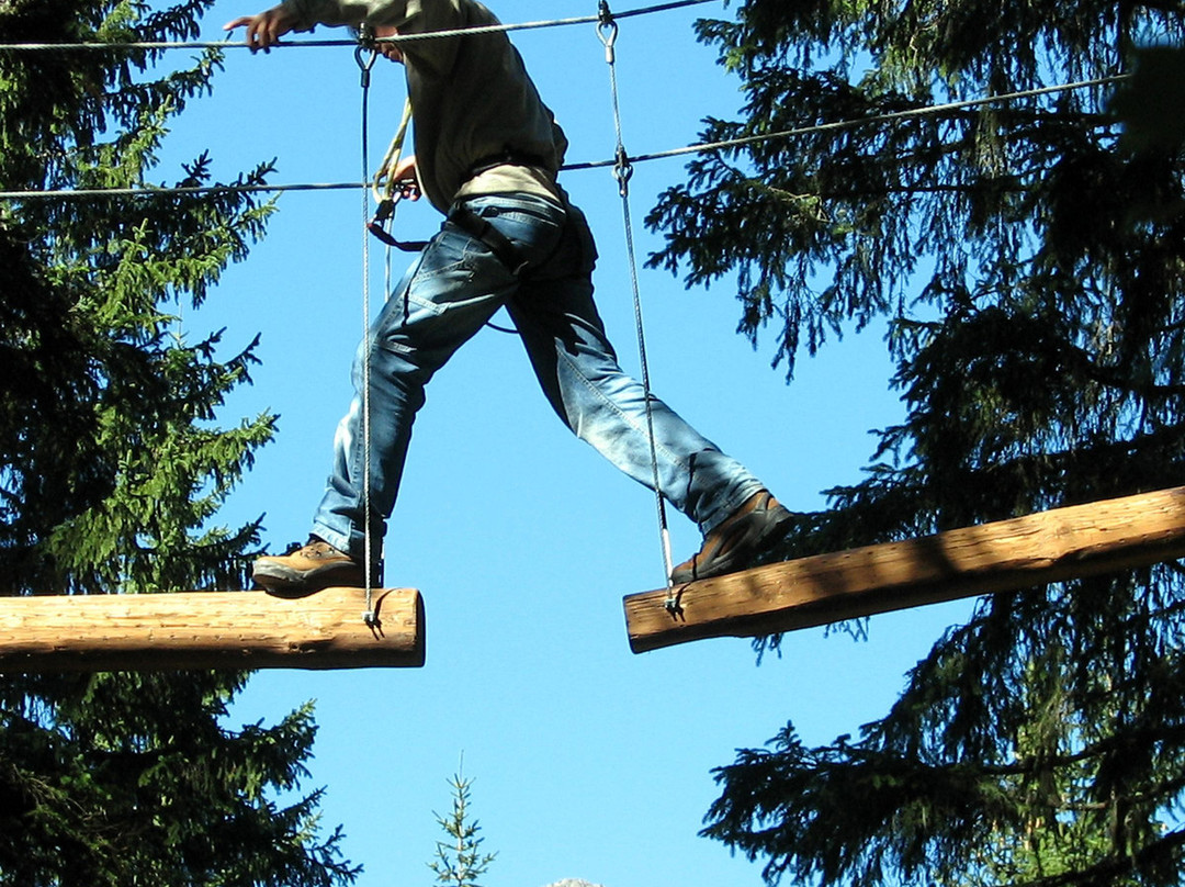 Agility Forest San Martino di Castrozza景点图片