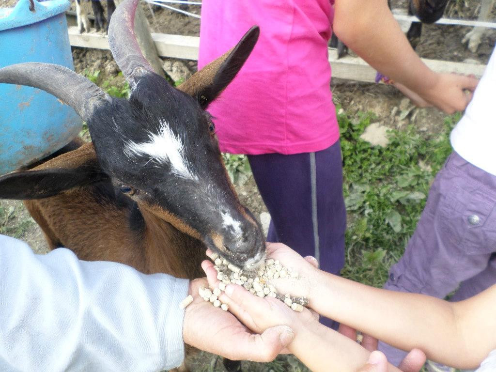 La Ferme du Cugnon-Hauteluce必去景点