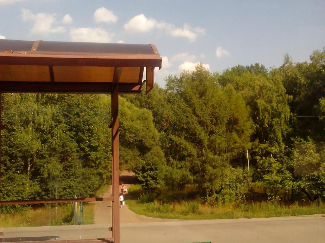 Biryulevskiy Dendropark景点图片