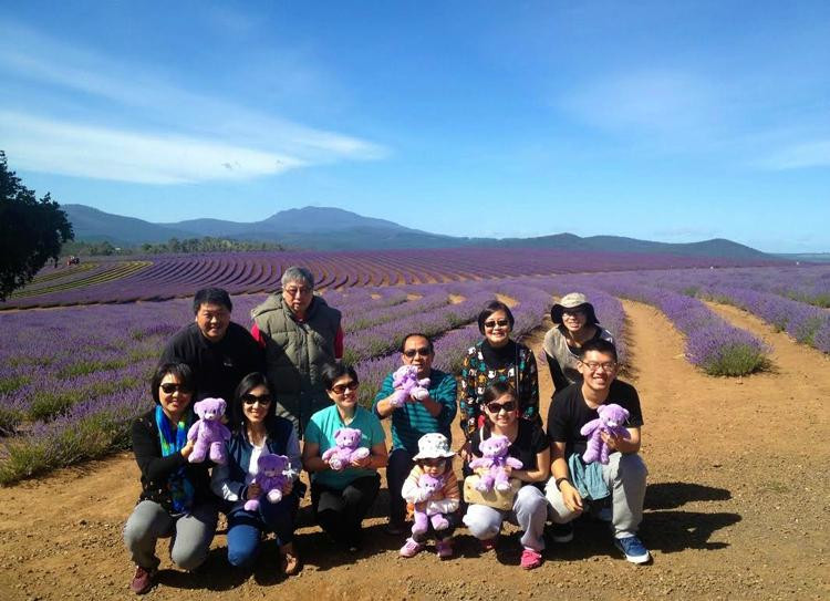 Let's Show You Tasmania - Day Tours景点图片