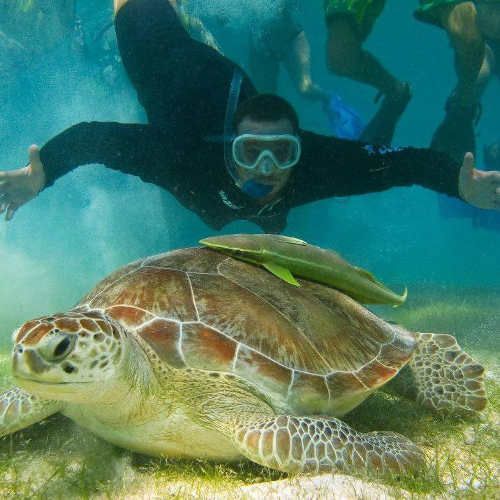 Explora Mexico Riviera Maya-普拉亚德尔卡曼必去景点