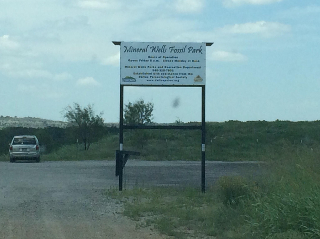 Mineral Wells Fossil Park-矿泉井城必去景点