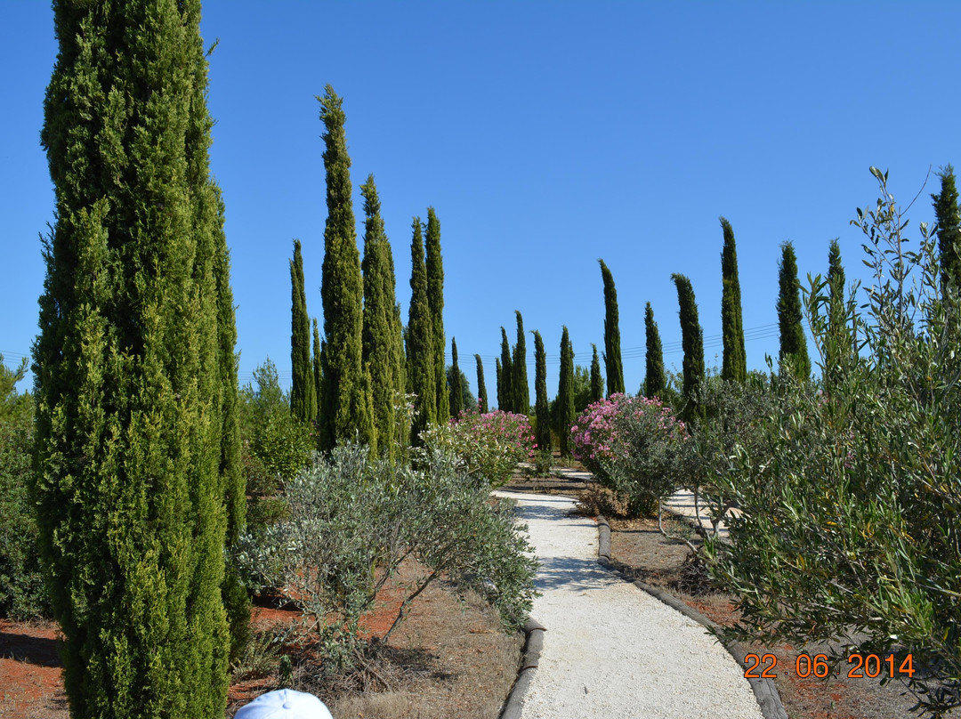 Cyherbia Botanical Park-Avgorou必去景点
