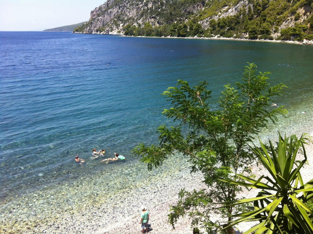 Dafni餐馆和美食-Dafni Grill