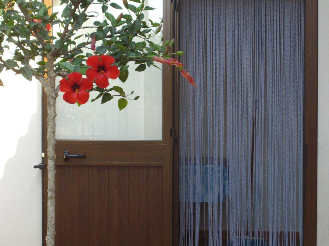 B&B Marechiaro主图