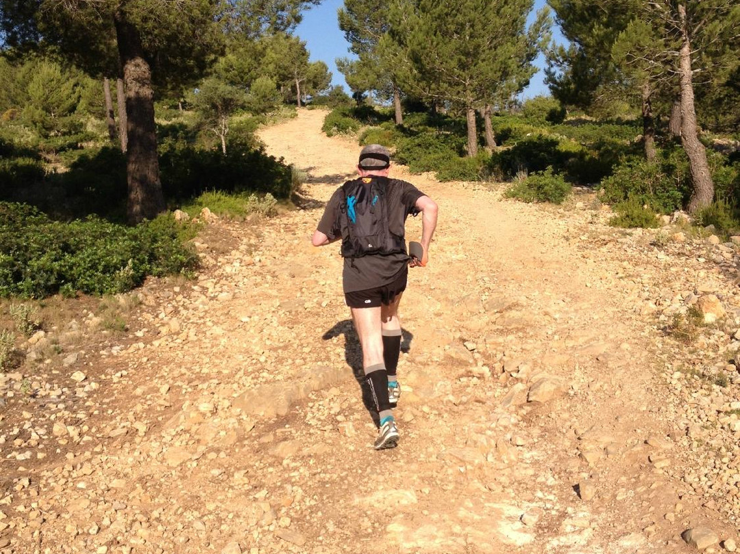 Mallorca Running Tours景点图片
