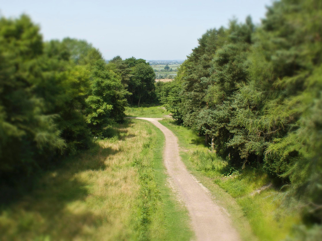 Irchester Country Park景点图片