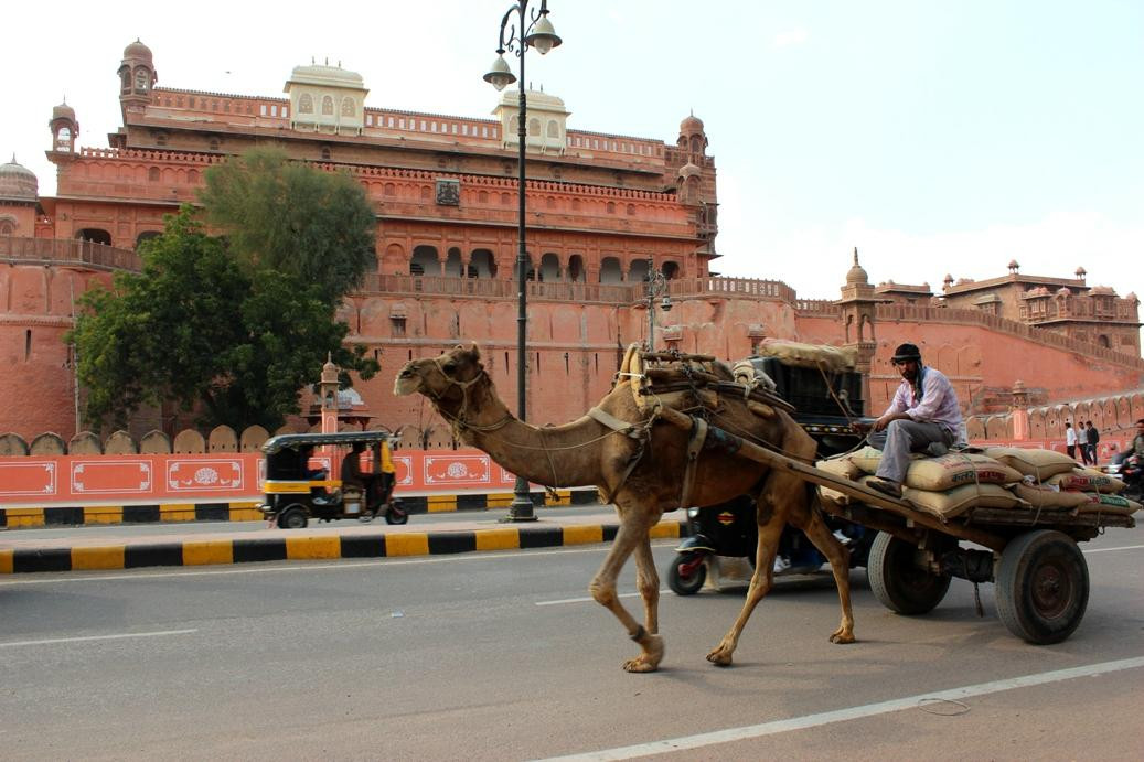 Bikaner Magic景点图片