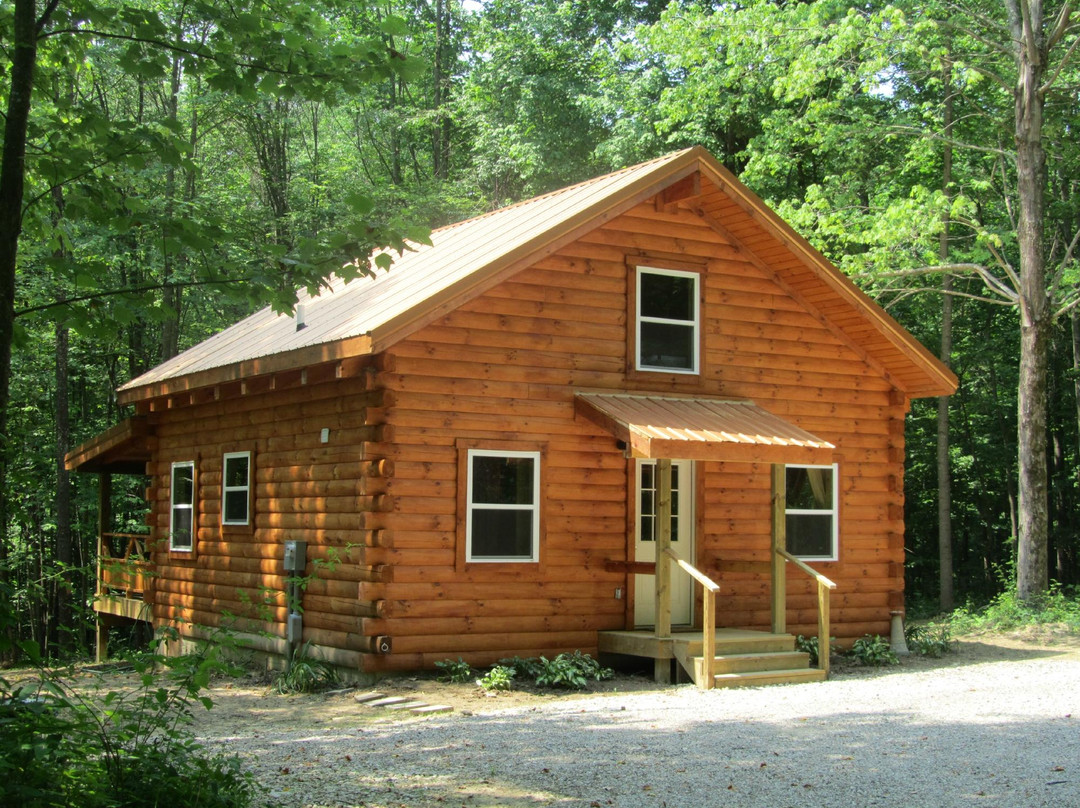 Comfort in the Woods Cabins