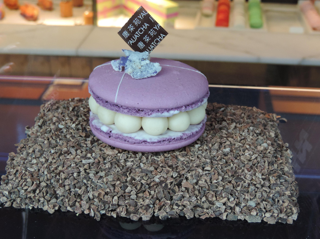 Best Tours-纽约市必去景点