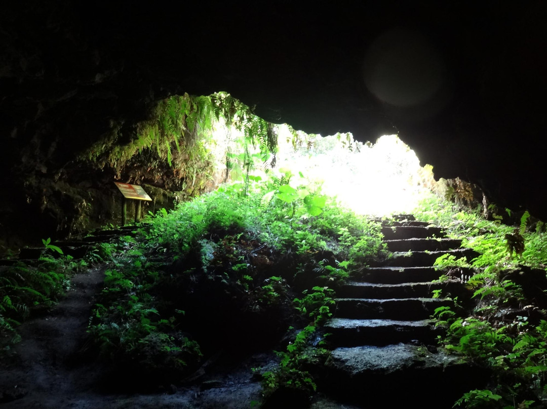 Cueva de Sucre景点图片