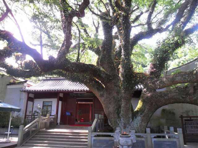 普陀山宗教风景区-绥滨县必去景点