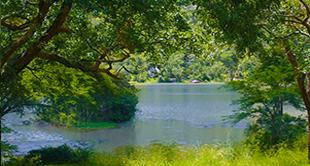 Thetford Game Reserve景点图片