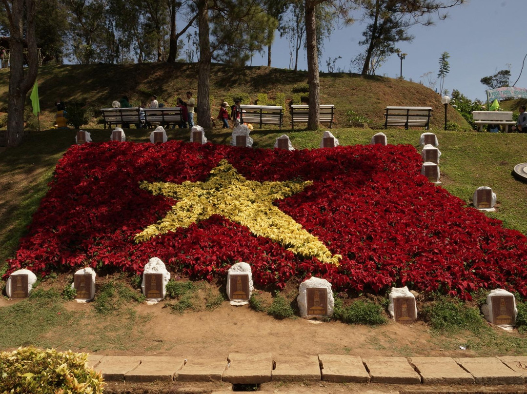 大叻花园-大勒必去景点