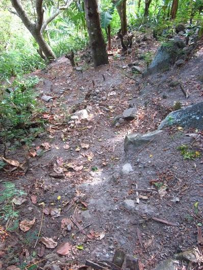 David's Trek-Apo Island必去景点