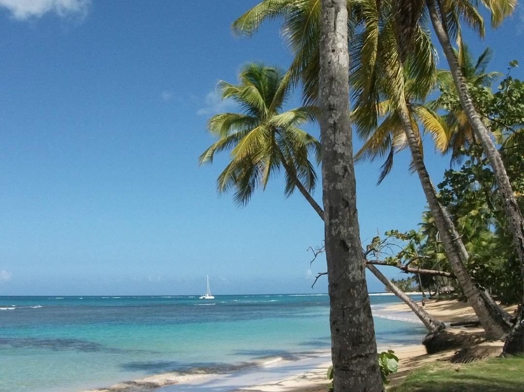 Playa Punta Popy-拉斯特拉纳斯必去景点