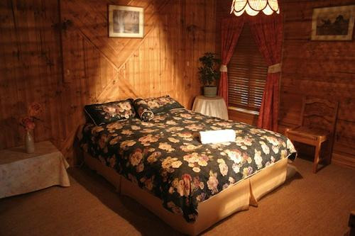 Chesleigh Homestead主图