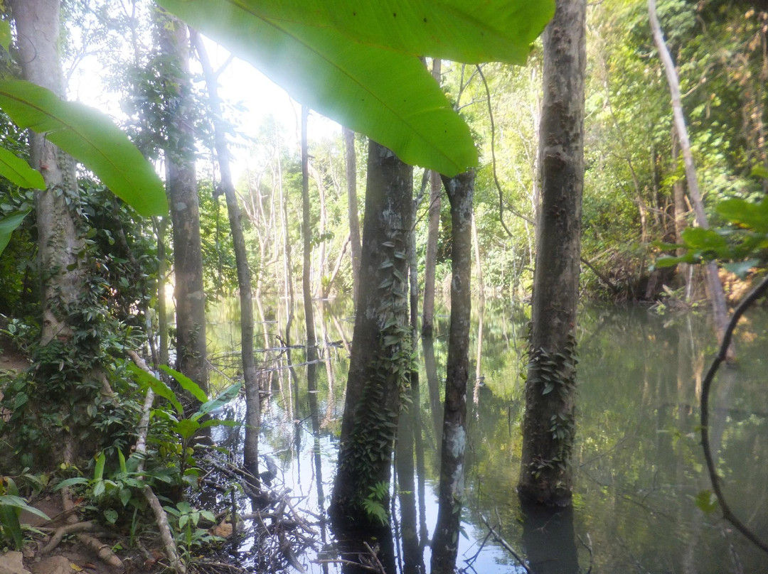 Khlong Chak瀑布-兰塔岛必去景点