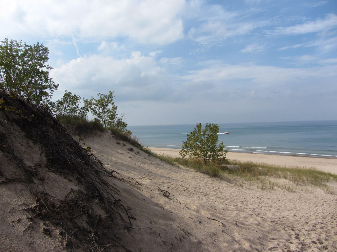 Indiana Dunes State Park景点图片