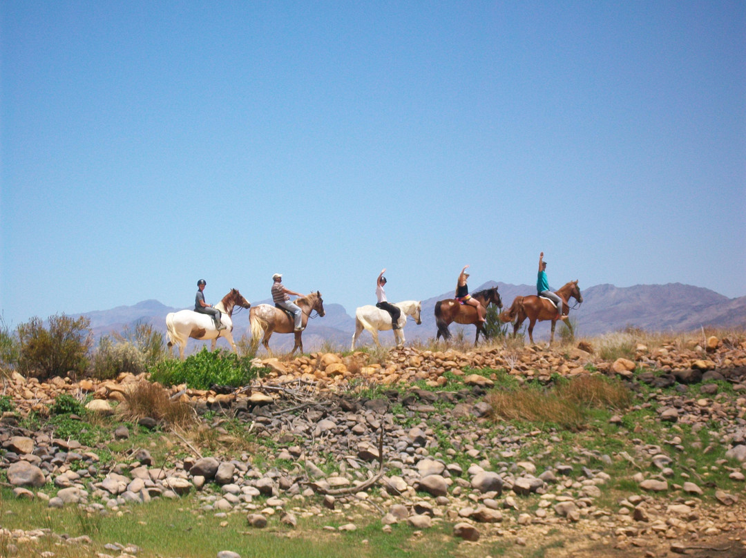 Tulbagh Horse Trails景点图片
