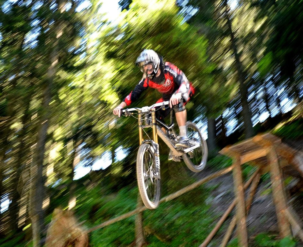 Alpenbikepark Chur景点图片
