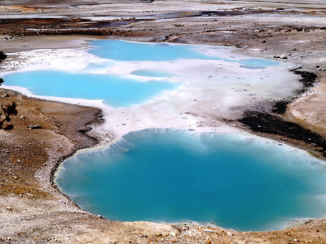 诺里斯间歇泉盆地-黄石国家公园必去景点