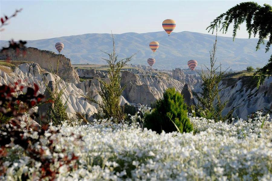 Red and Rose Valley Tours-卡帕多细亚必去景点