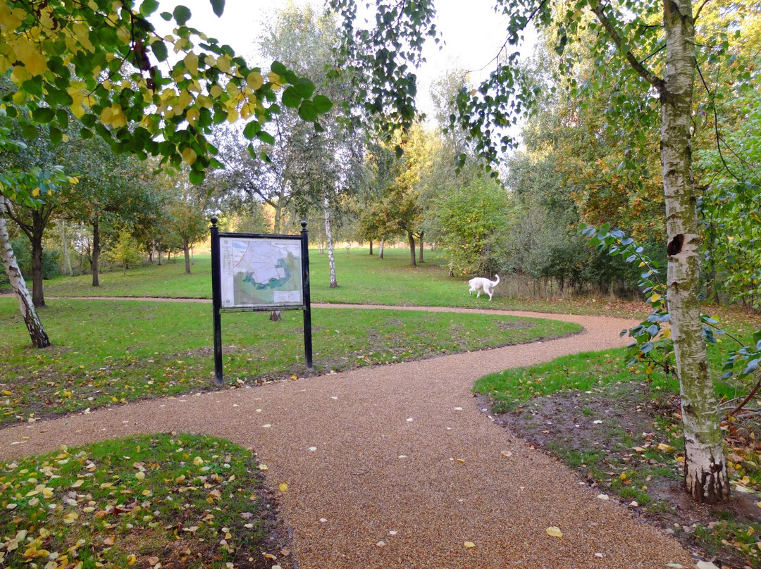 Brackmills Woods Country Park景点图片