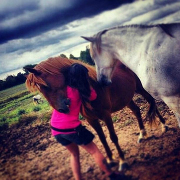 Cavalls de Trulls-Viver必去景点