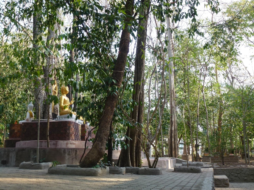 悟蒙寺景点图片