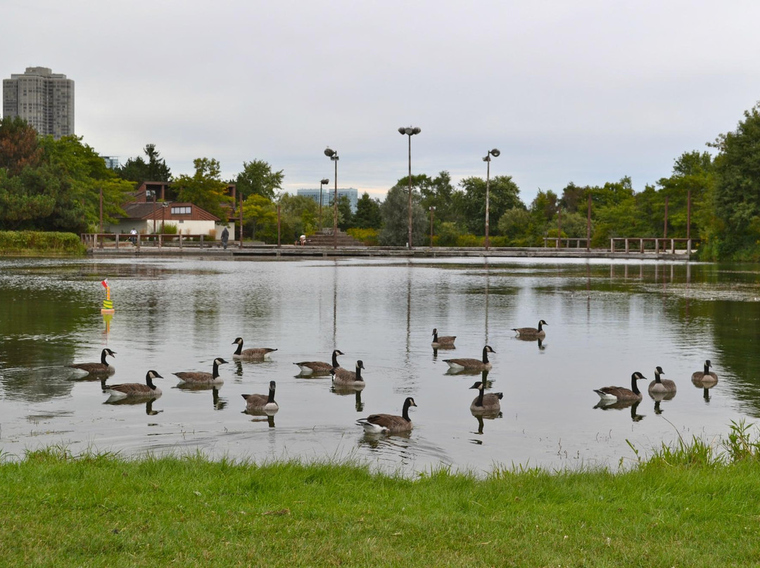 汉波湾公园-多伦多必去景点