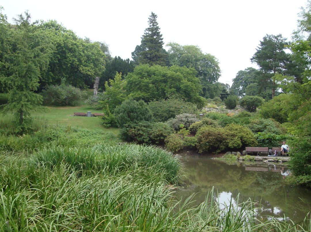 Botanical Garden and the Greenhouses景点图片