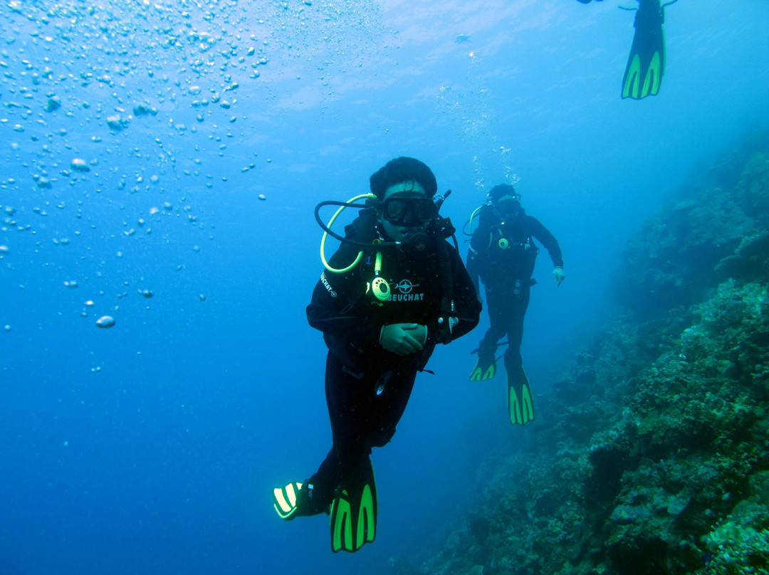 Neptune Dive Center景点图片