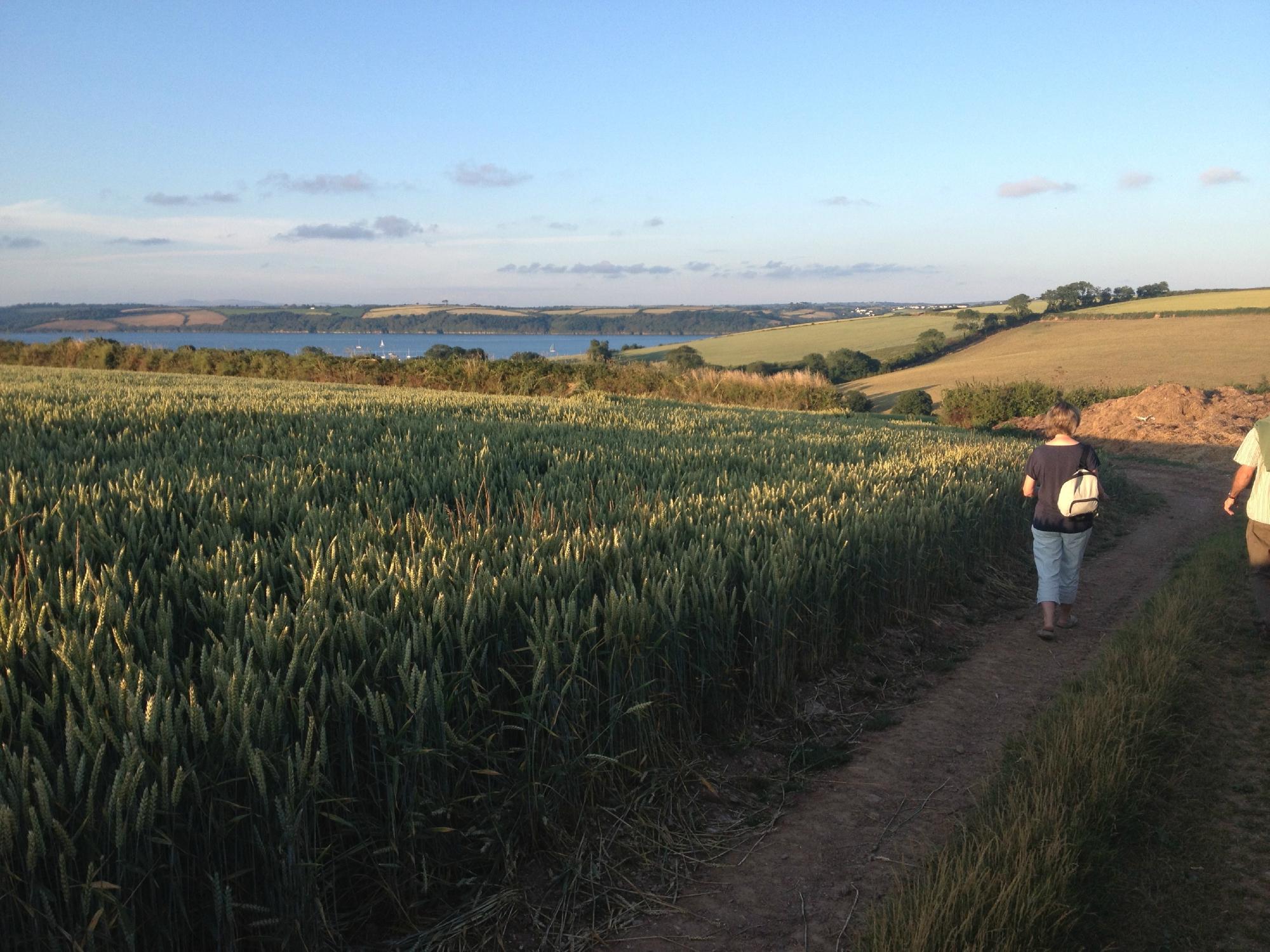 Trefusis Barton Bed and Breakfast-客卧